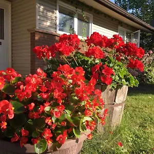 Homestay Graham Homestay, Ottawa